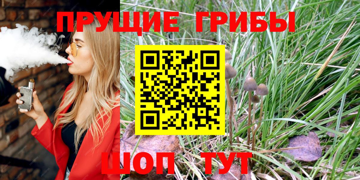 Галлюциногенные грибы Magic Shrooms  наркошоп  Вход с VPN  Уссурийск  Псилоцибиновые грибы GOLDEN TEACHER 