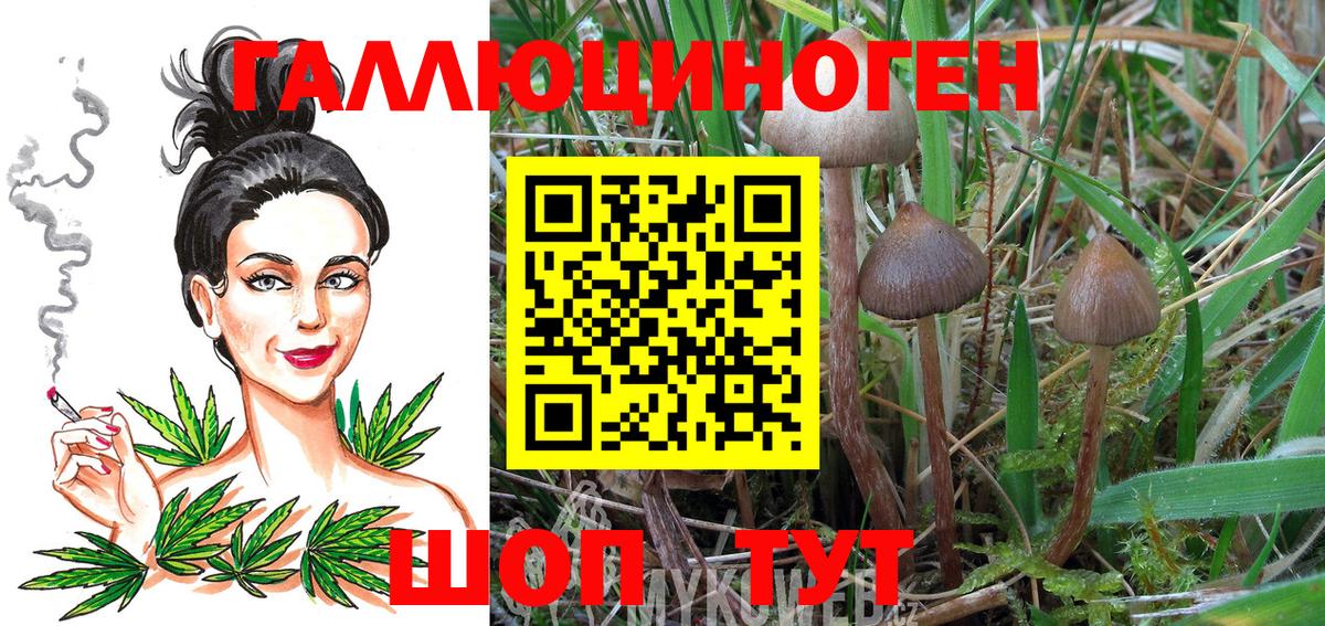 Псилоцибиновые грибы мицелий Уссурийск